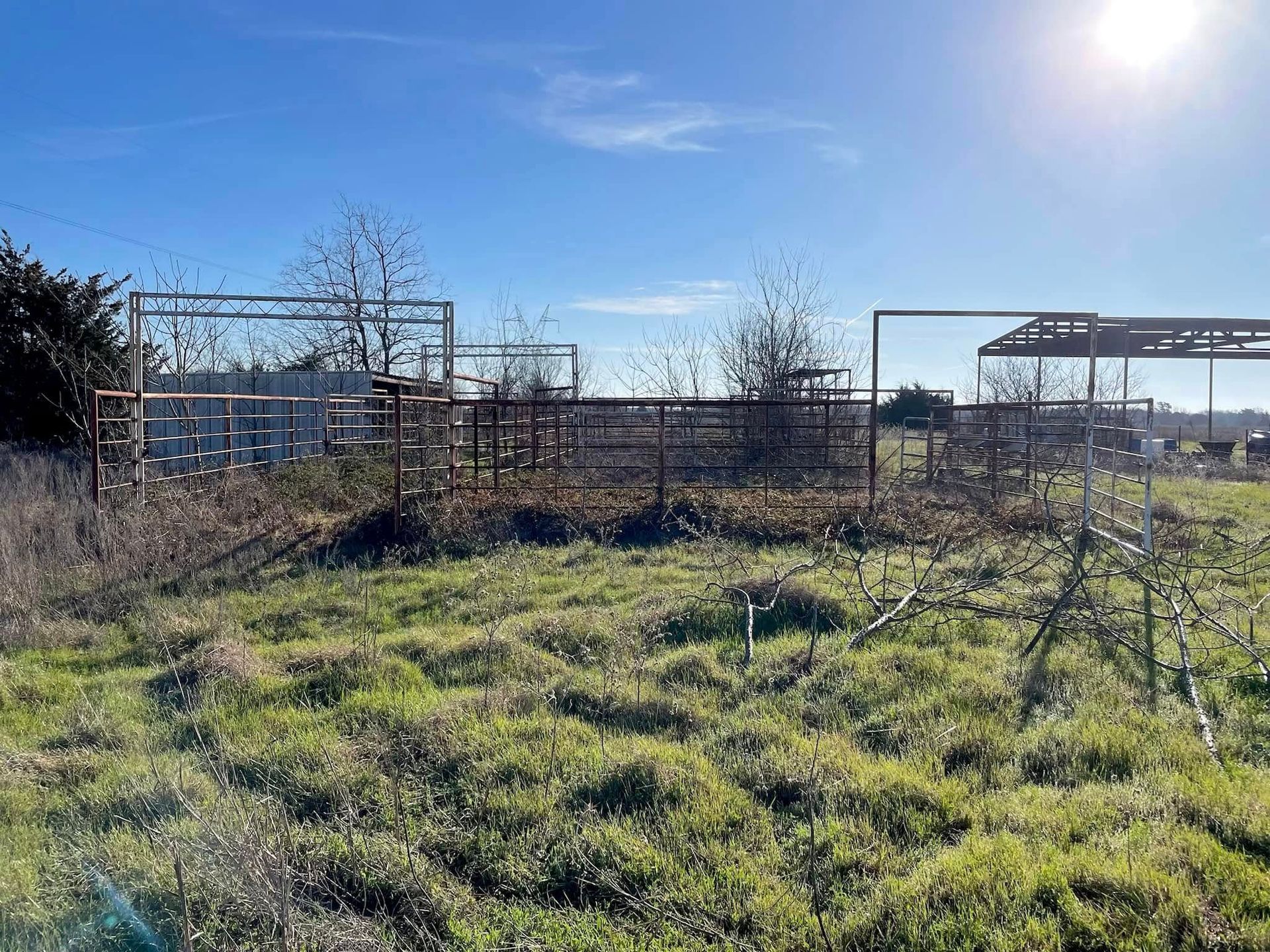 Sunlit grassy field with sparse young trees and a metal fenced area under a clear blue sky