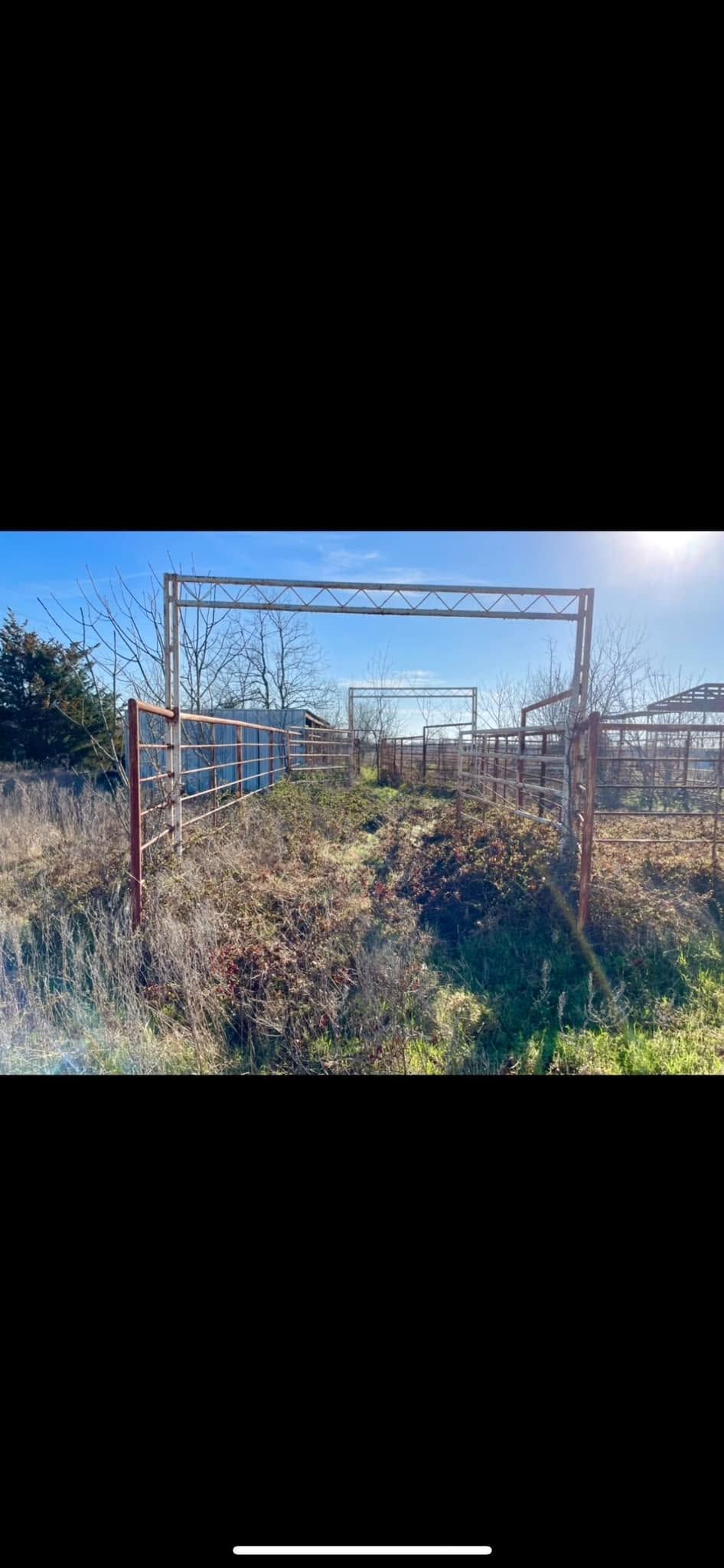 Overgrown fenced garden plot with metal frame, shrubs, and blue sky in bright sunlight