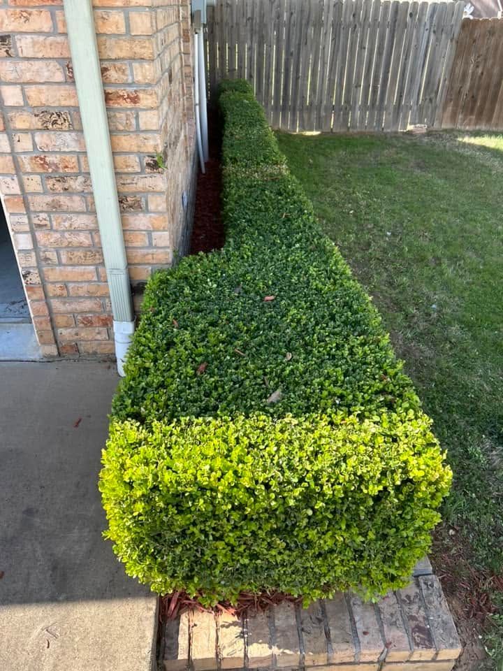 Trimmed green hedge along a brick house beside a driveway and wooden fence.