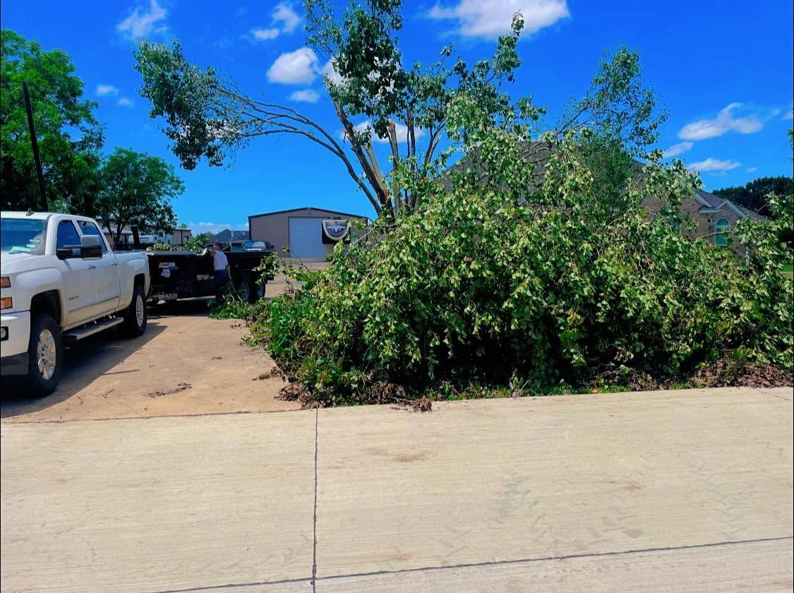 Residential driveway with parked pickup trucks, a large green bush, and blue sky.