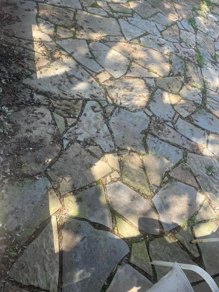 Stone patio with irregular gray slabs and dappled sunlight and shadows from nearby trees