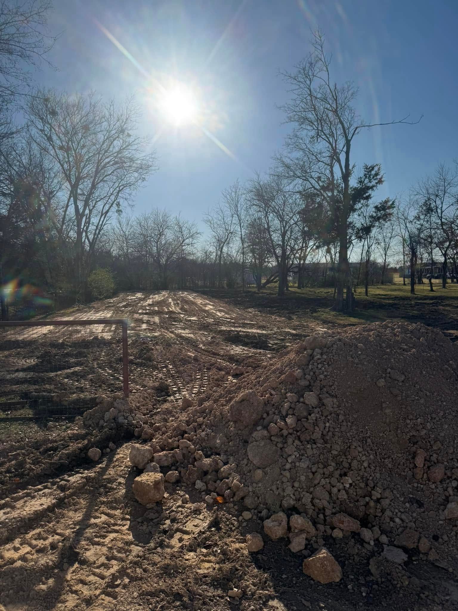 Sunlit dirt road with mounds of gravel, bare trees, and a bright sky in the background