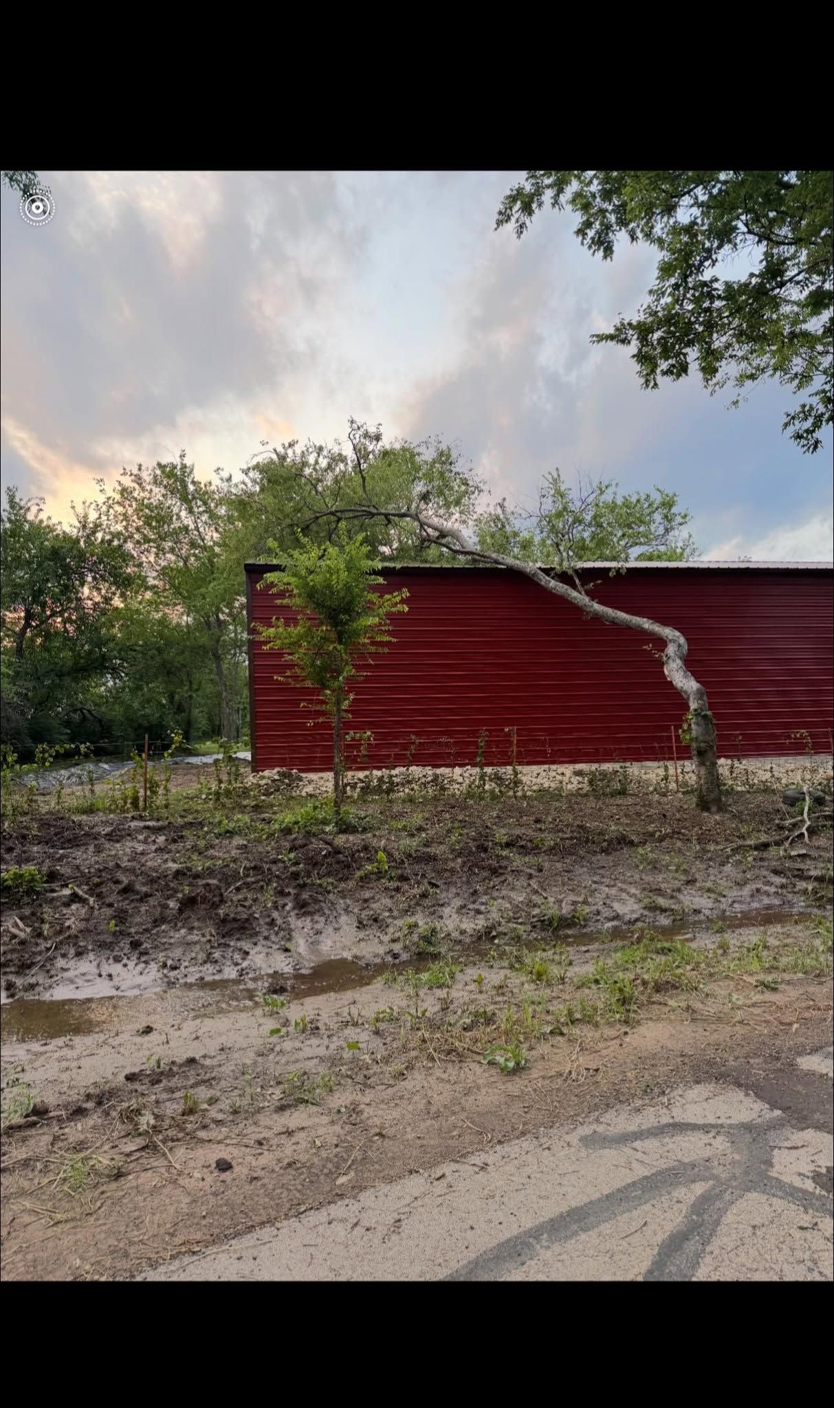Red wooden shed beside a dirt road, surrounded by trees under a cloudy sky.