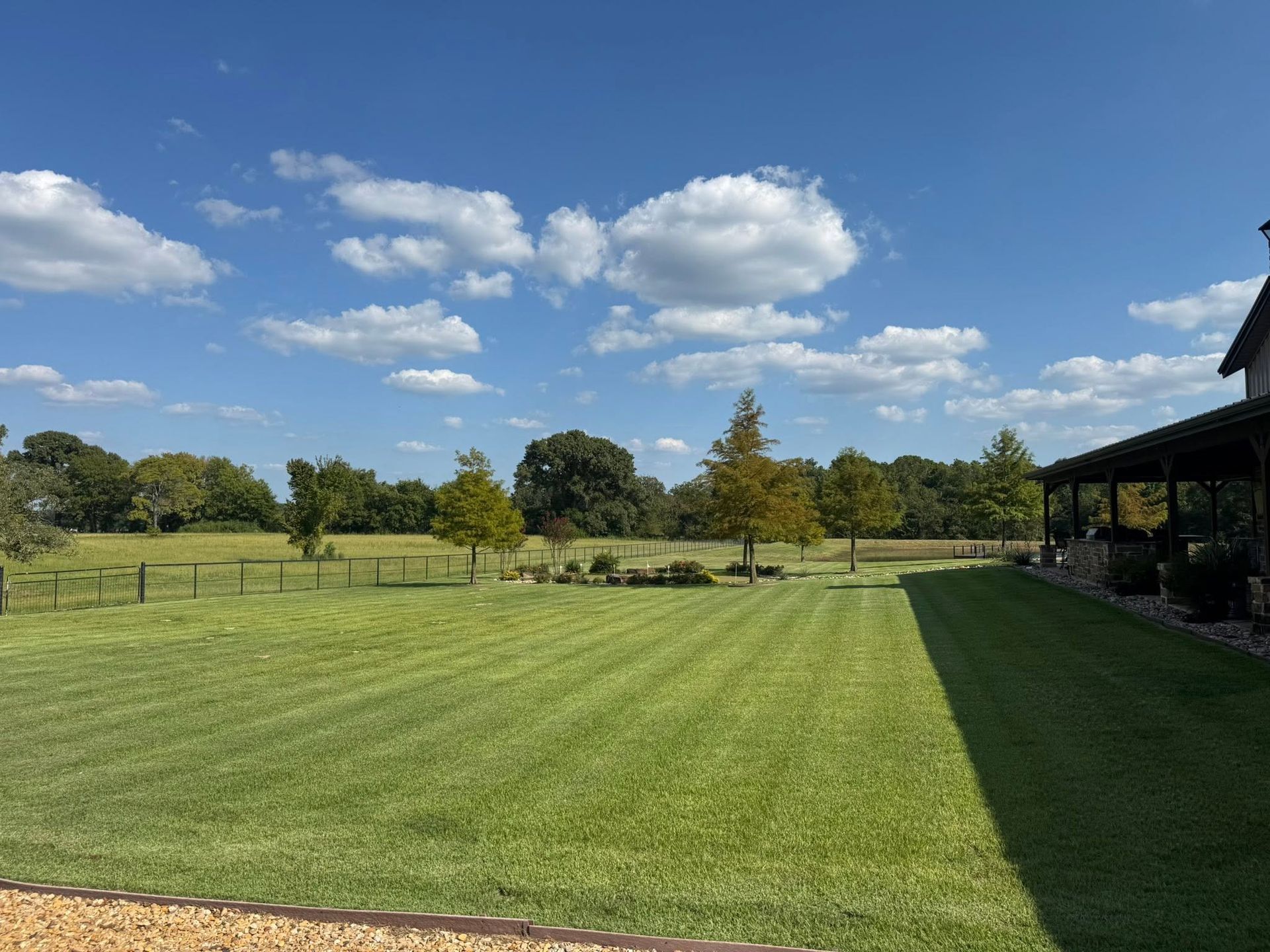 Sunny grassy field with fence and trees under a blue sky with scattered clouds