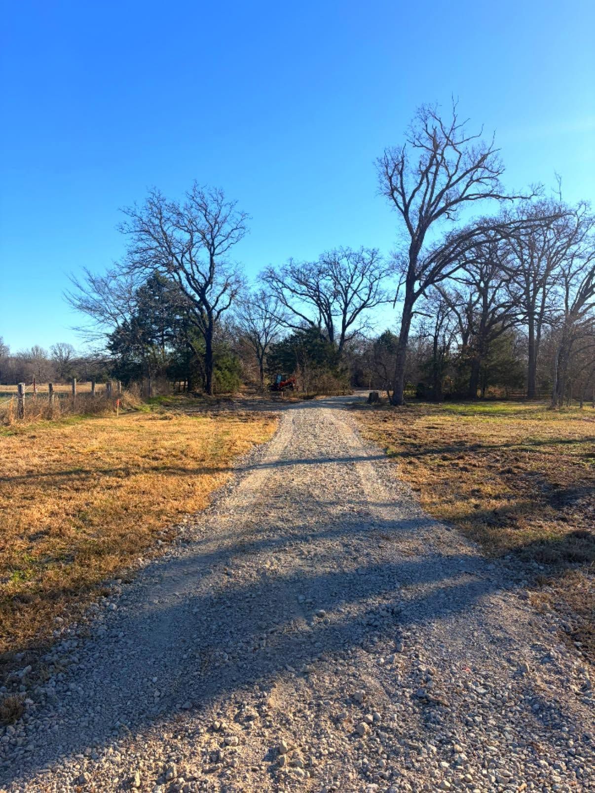 Gravel path through leafless trees under a clear blue sky on a sunny day