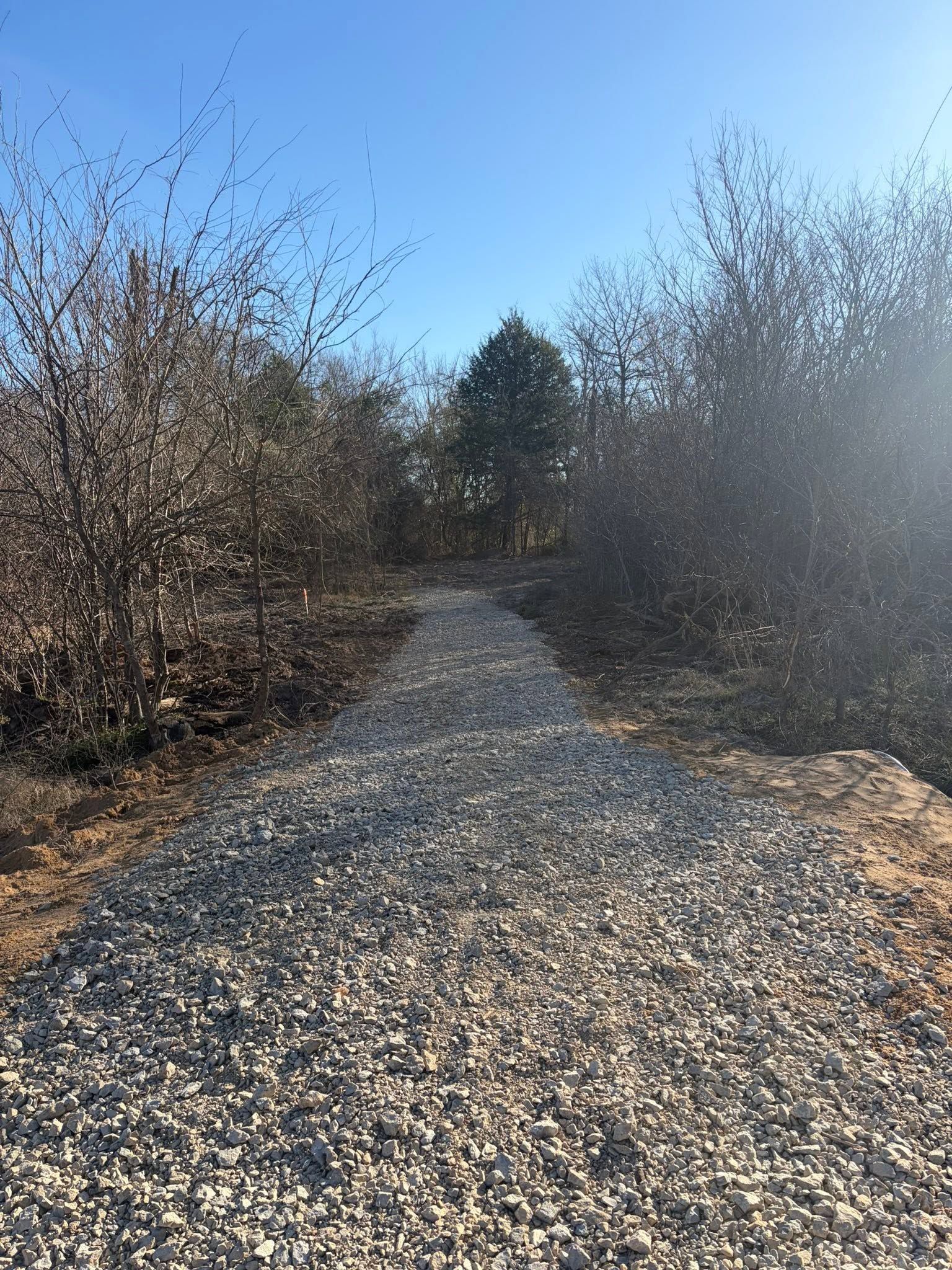 Gravel path through leafless bushes under a clear blue sky, with bright sunlight on the right