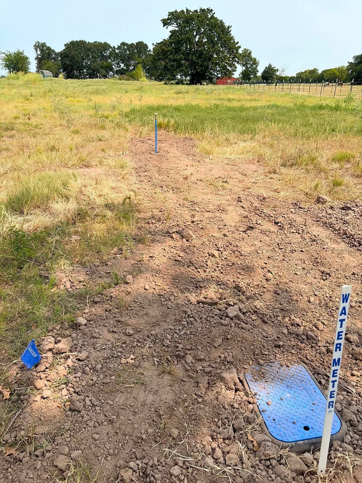 Marked field plot with dry soil, blue flags, and stakes in a grassy open area under trees