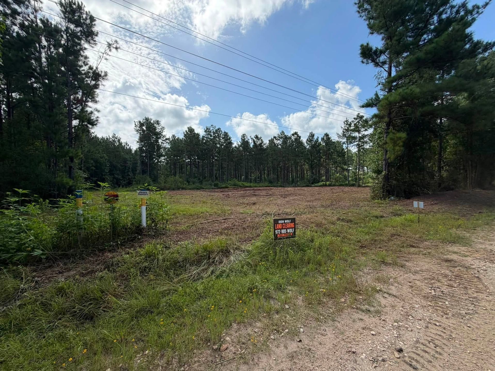 Open field with grass, trees, and a dirt road under a partly cloudy sky