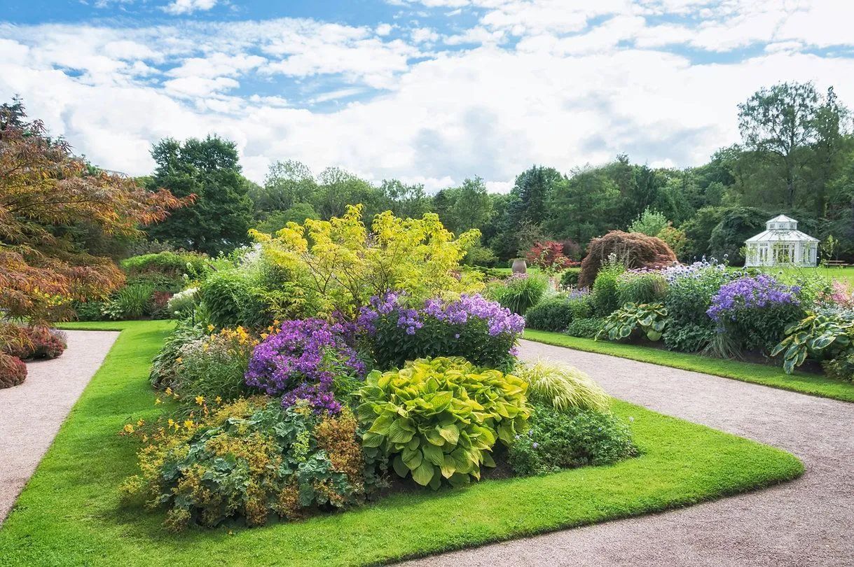 There are many different types of flowers in the garden.