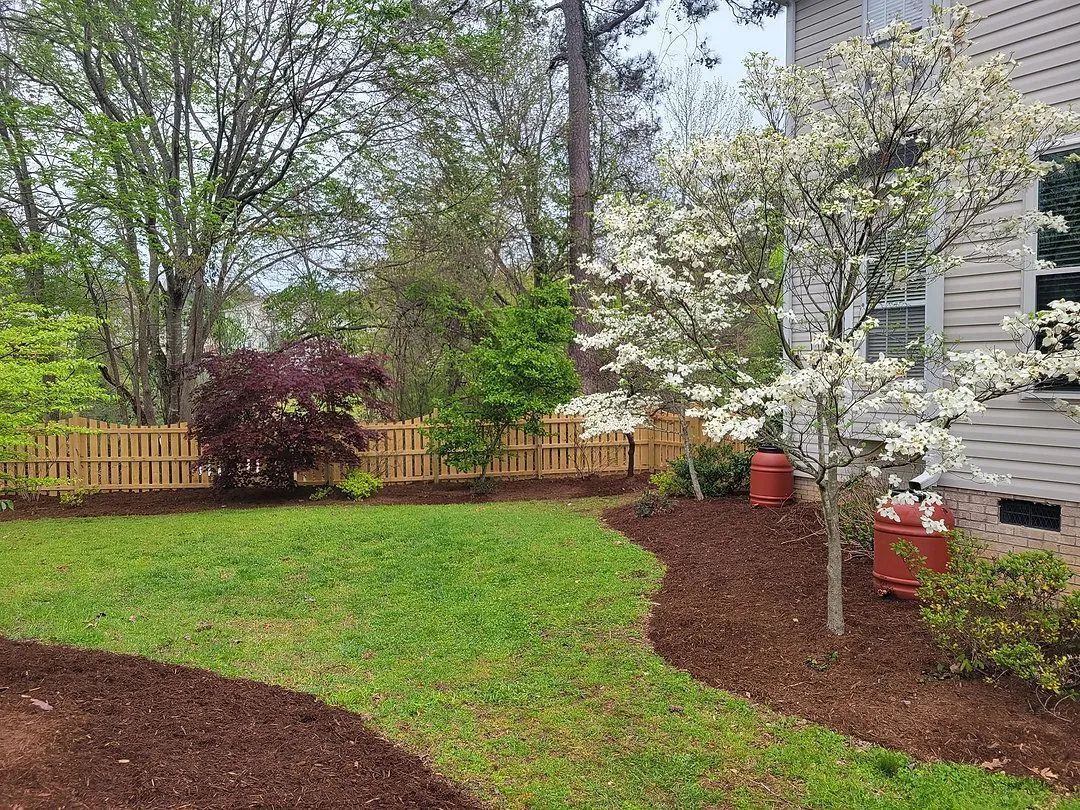 A backyard with a wooden fence and trees in the background.