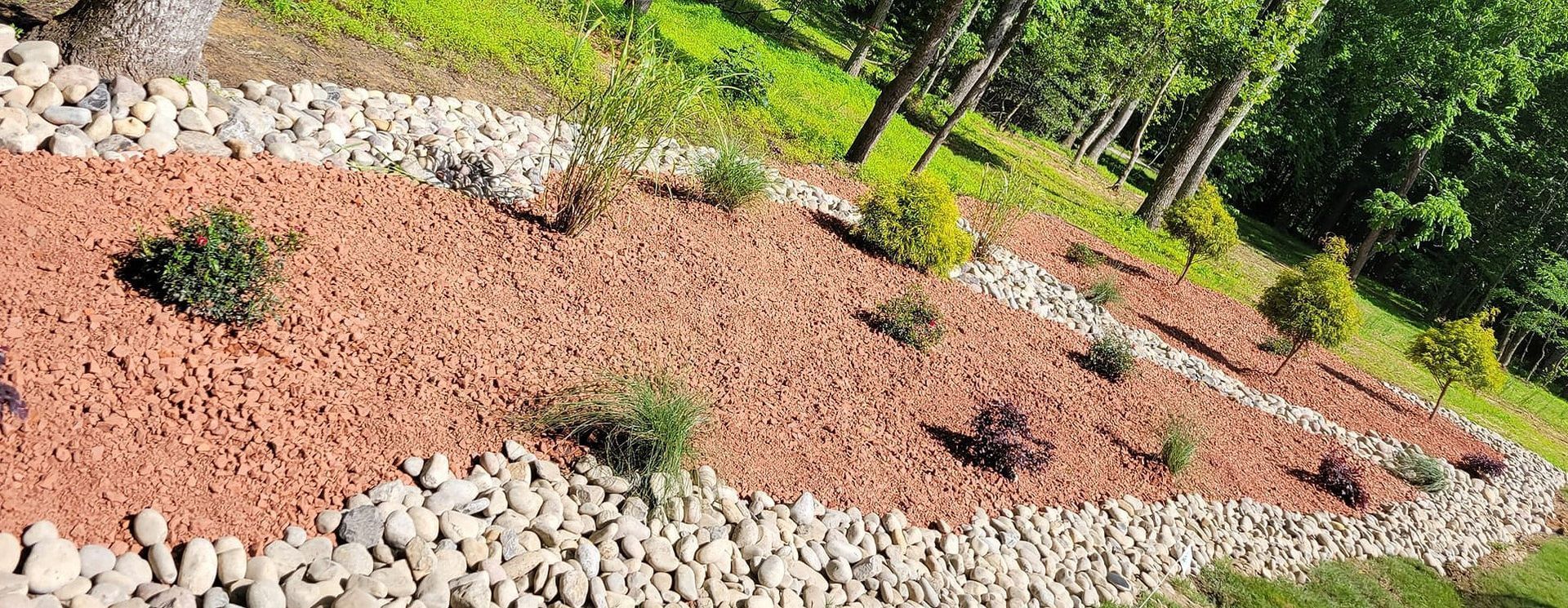 A garden filled with rocks and plants with trees in the background.
