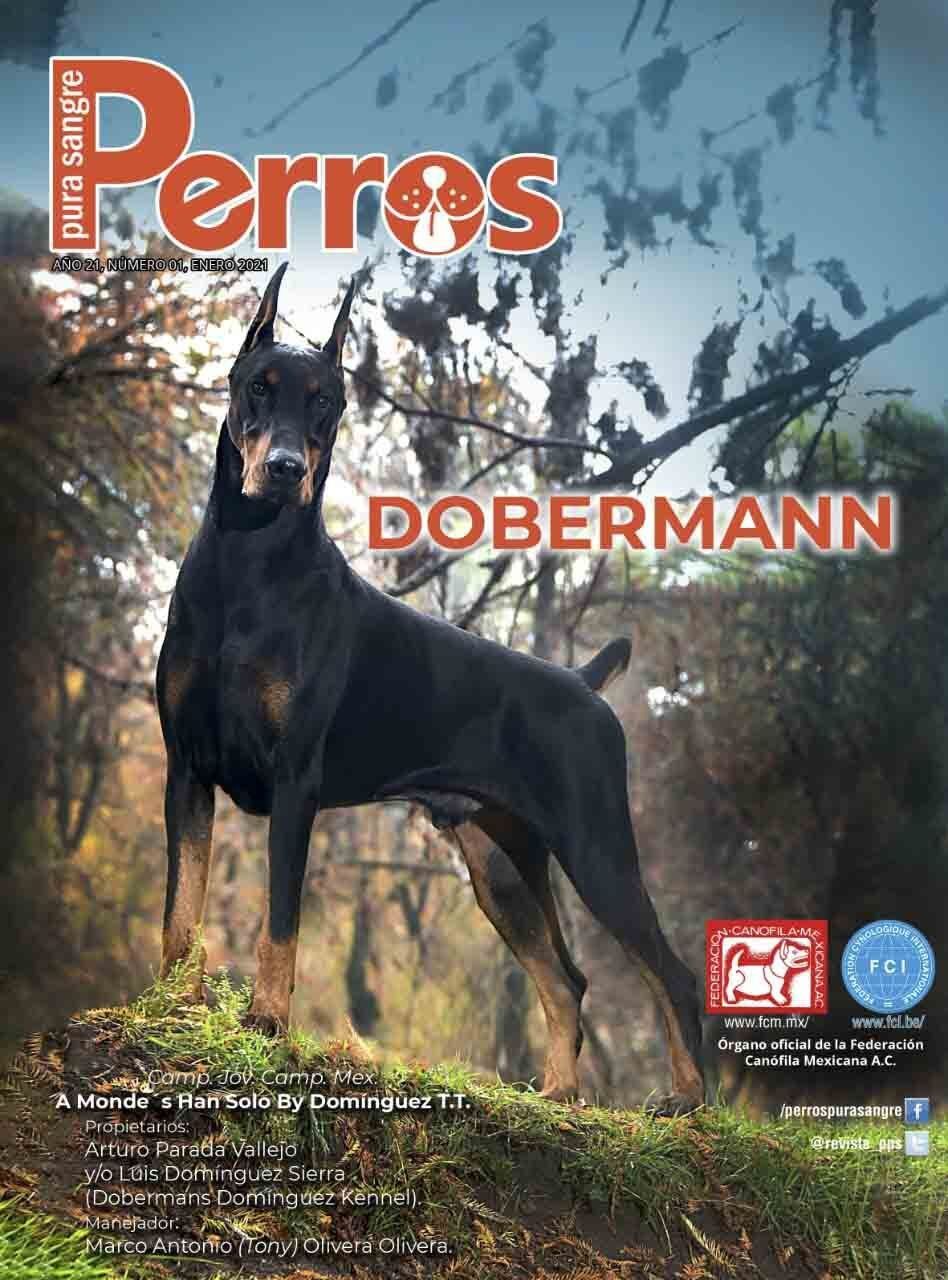 criadero de doberman en Oakland