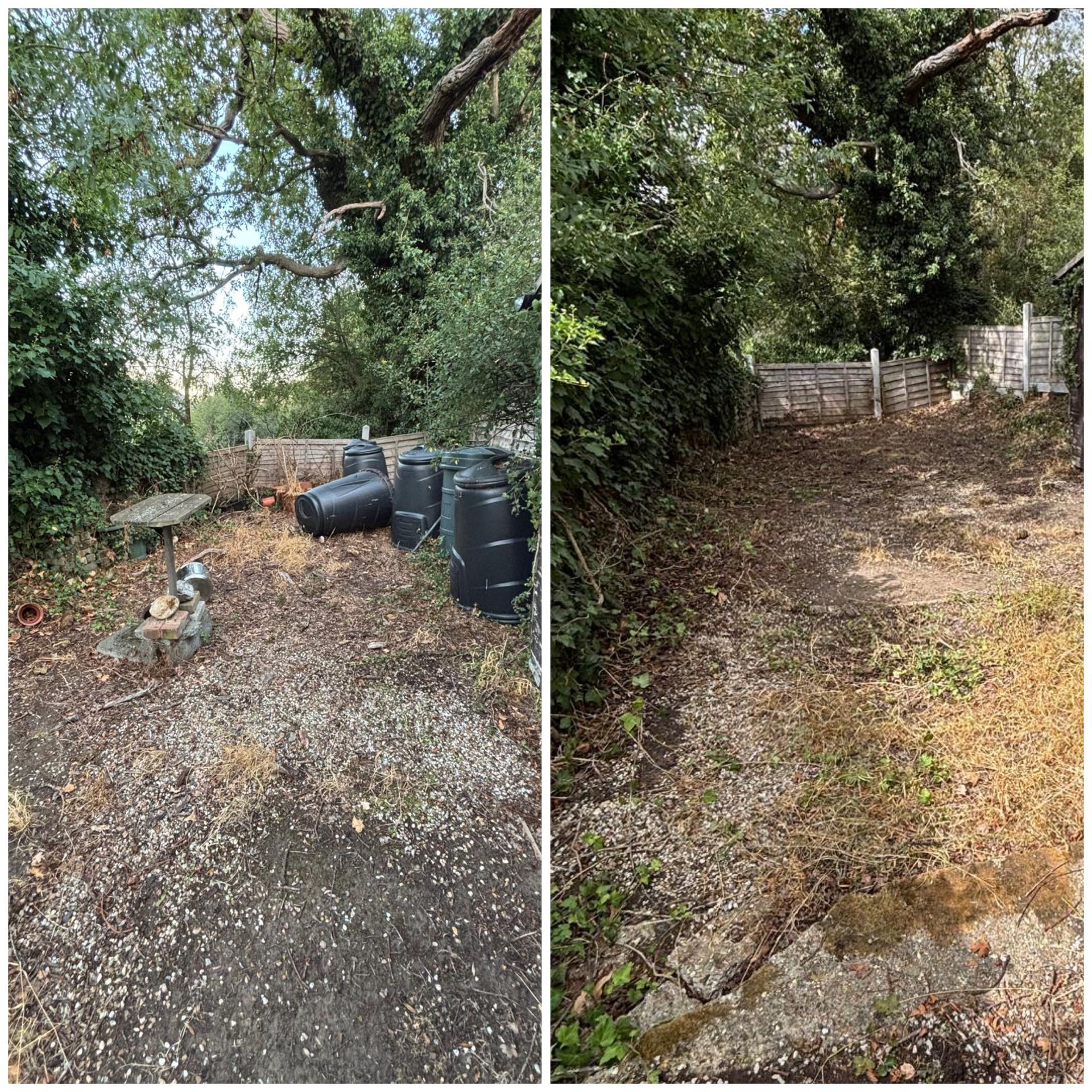 A garden clearance in streatham.