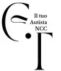 GT TRANSFER  logo