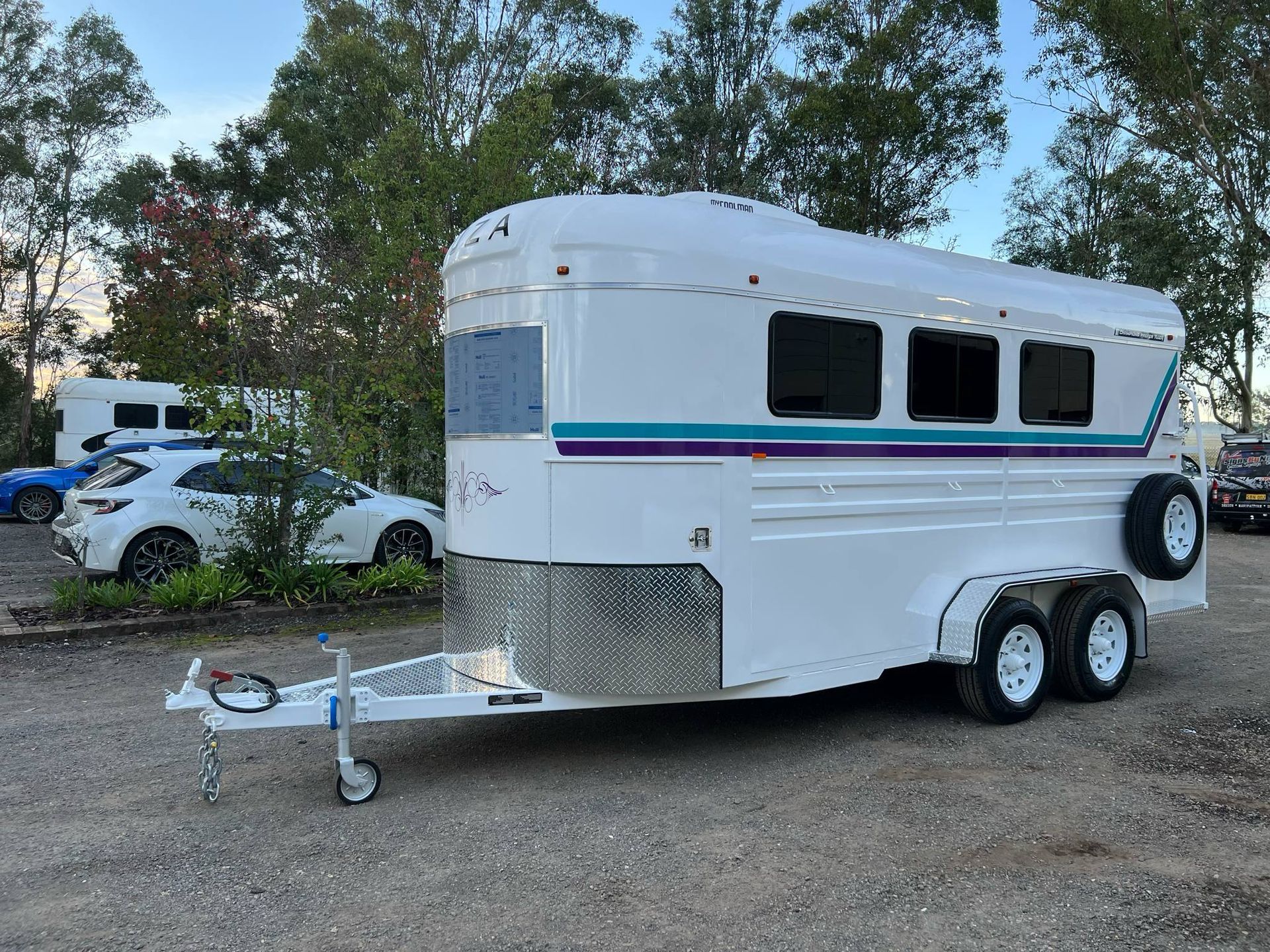 White Horse Trailer with Blue and Purple Stripes, Parked Outdoors — Sparky's 4x4 In Taminda, NSW