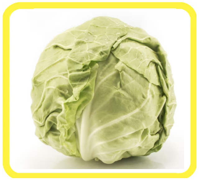 Cavolo verde chiaro su sfondo bianco, incorniciato da un bordo giallo.
