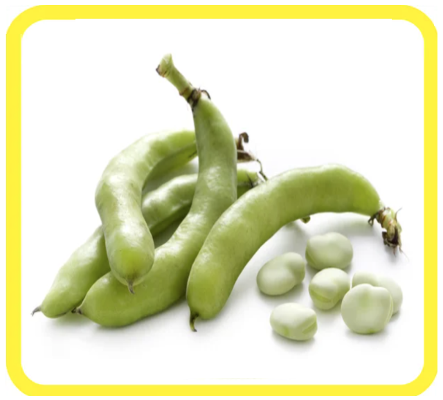 Baccelli verdi di fave con fagioli bianchi sbucciati su sfondo bianco
