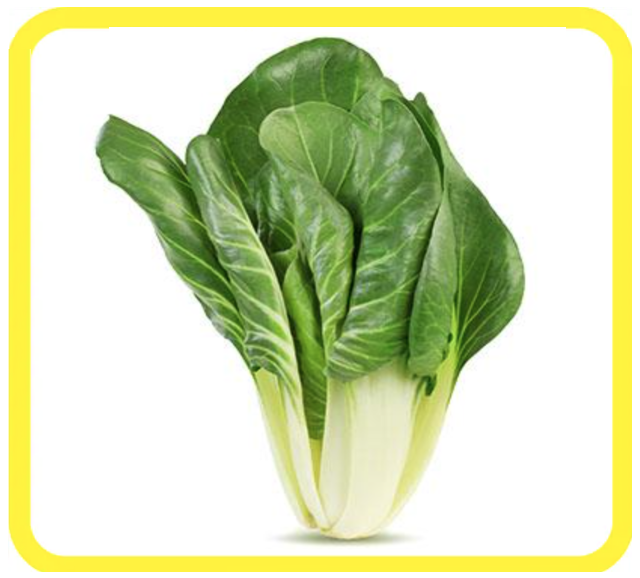 Un mazzo di bok choy verde fresco con steli chiari su sfondo bianco