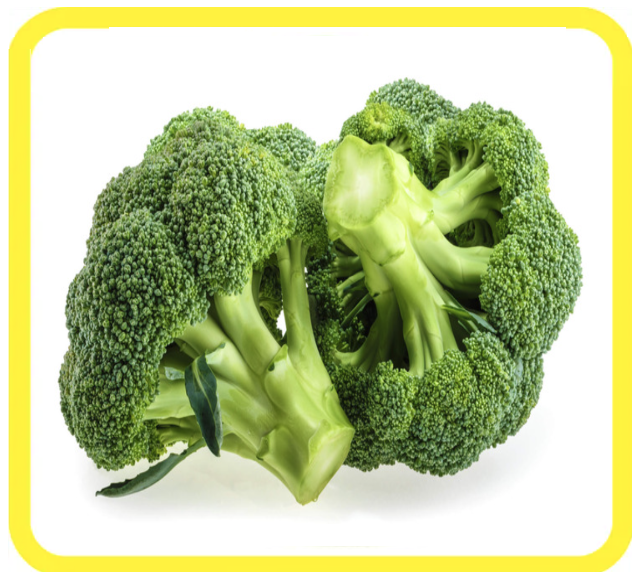 Cimette di broccoli verdi freschi su sfondo bianco con bordo giallo