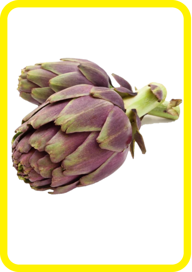Carciofo viola su sfondo bianco, incorniciato da un bordo giallo.