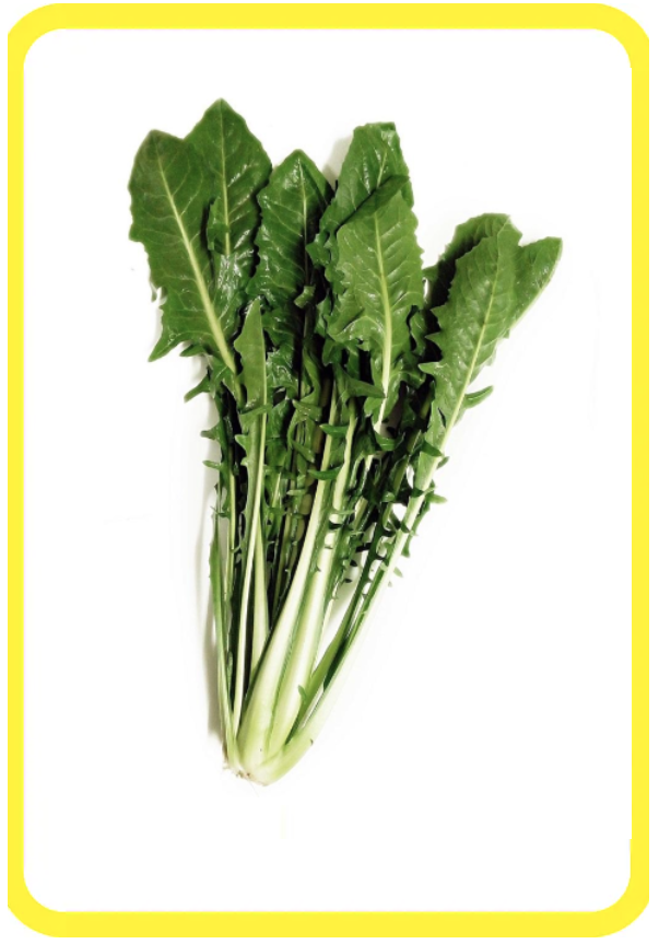 Verdure fresche a foglia verde con steli lunghi, raggruppate su uno sfondo bianco.
