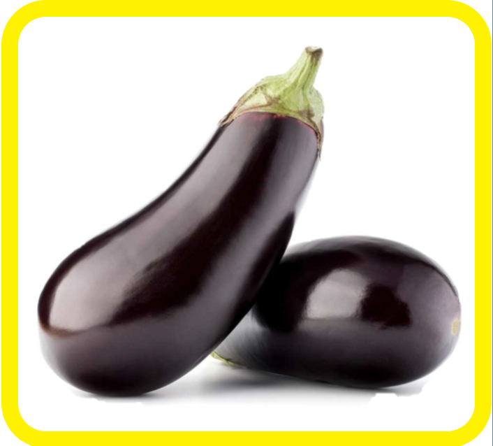 Due melanzane viola lucide con steli verdi su sfondo bianco