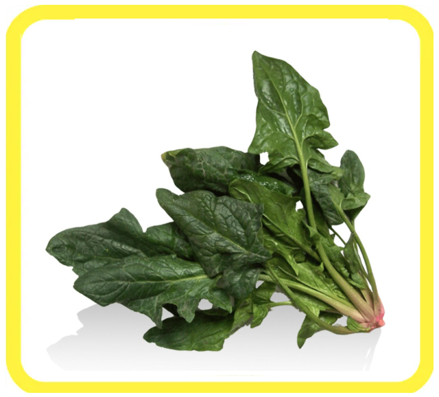 Un mazzo di spinaci freschi e verdi su sfondo bianco.