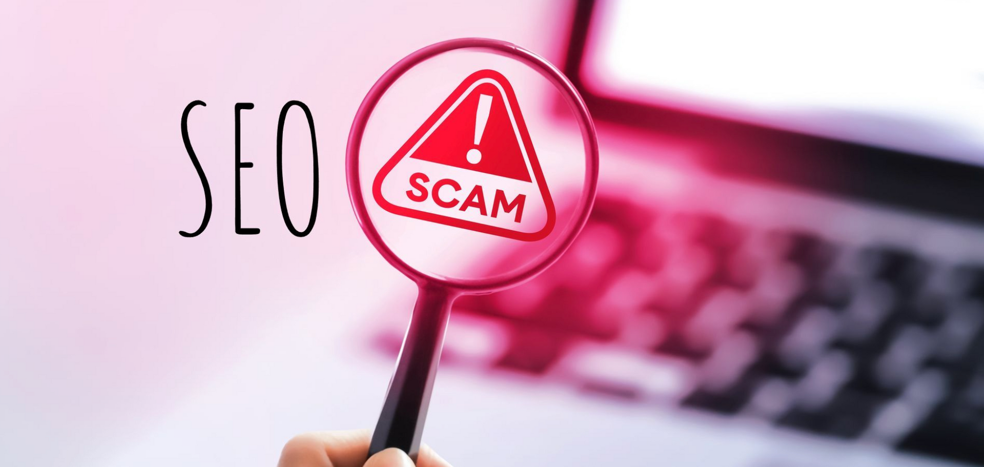 seo backlink scam,pbns