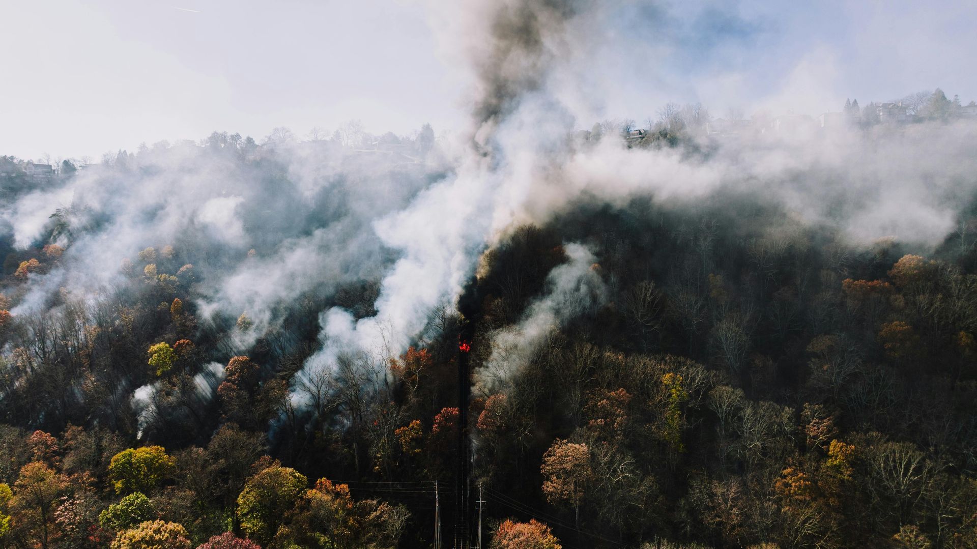 IoT detects wildfires early, preventing widespread devastation and losses.