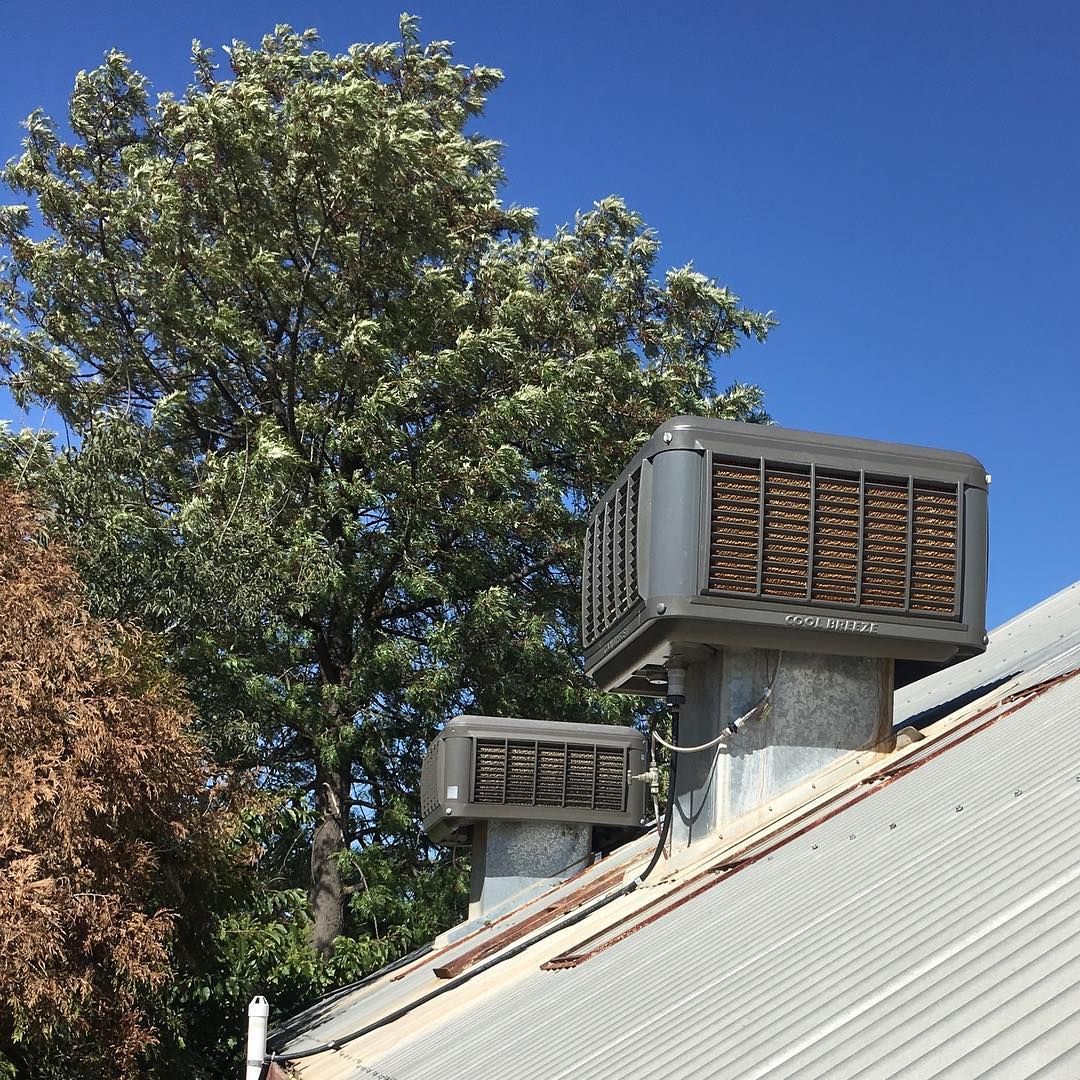 Two Swamp Coolers on a Rooftop, With a Large Tree and Blue Sky — Craig Stewart Electrical in East Wagga Wagga, NSW