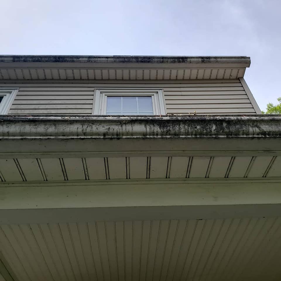 Exterior of a house with dirty gutters and siding; overcast sky.