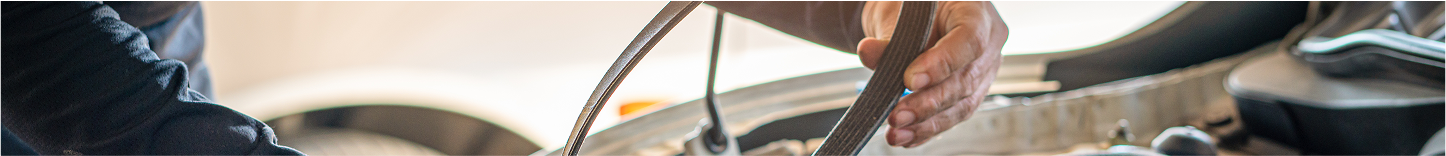 Person's hand reaching toward the handlebars of a bicycle. | Deville Automotive