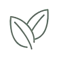 A line drawing of two leaves on a white background.