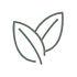A line drawing of two leaves on a white background.