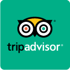 TripAdvisor-logo: Uilenpictogram met witte ogen, een gele kop en een groene achtergrond.