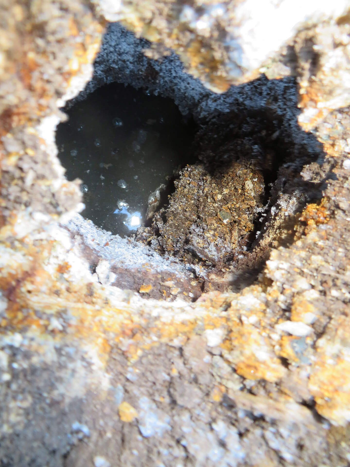 home inspection cost dover nh
