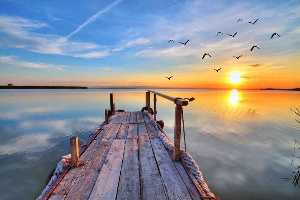 A Wooden Dock Overlooking A Body Of Water At Sunset With Birds Flying Overhead — A2Z Property Services In Cootharaba, QLD