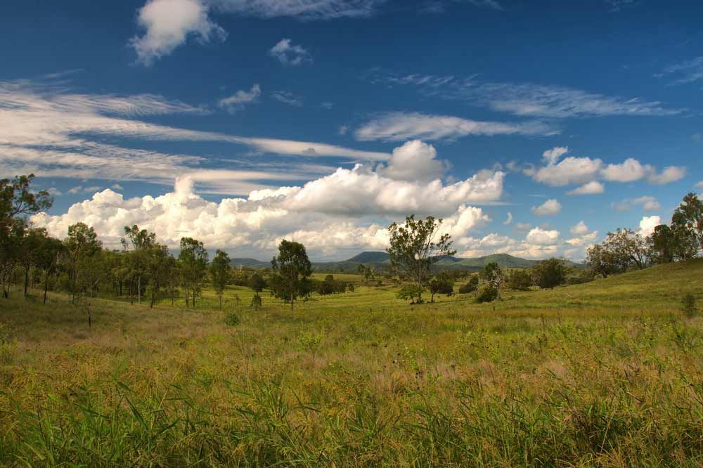 A Grassy Field With Trees And Clouds In The Sky — A2Z Property Services In Gympie, QLD