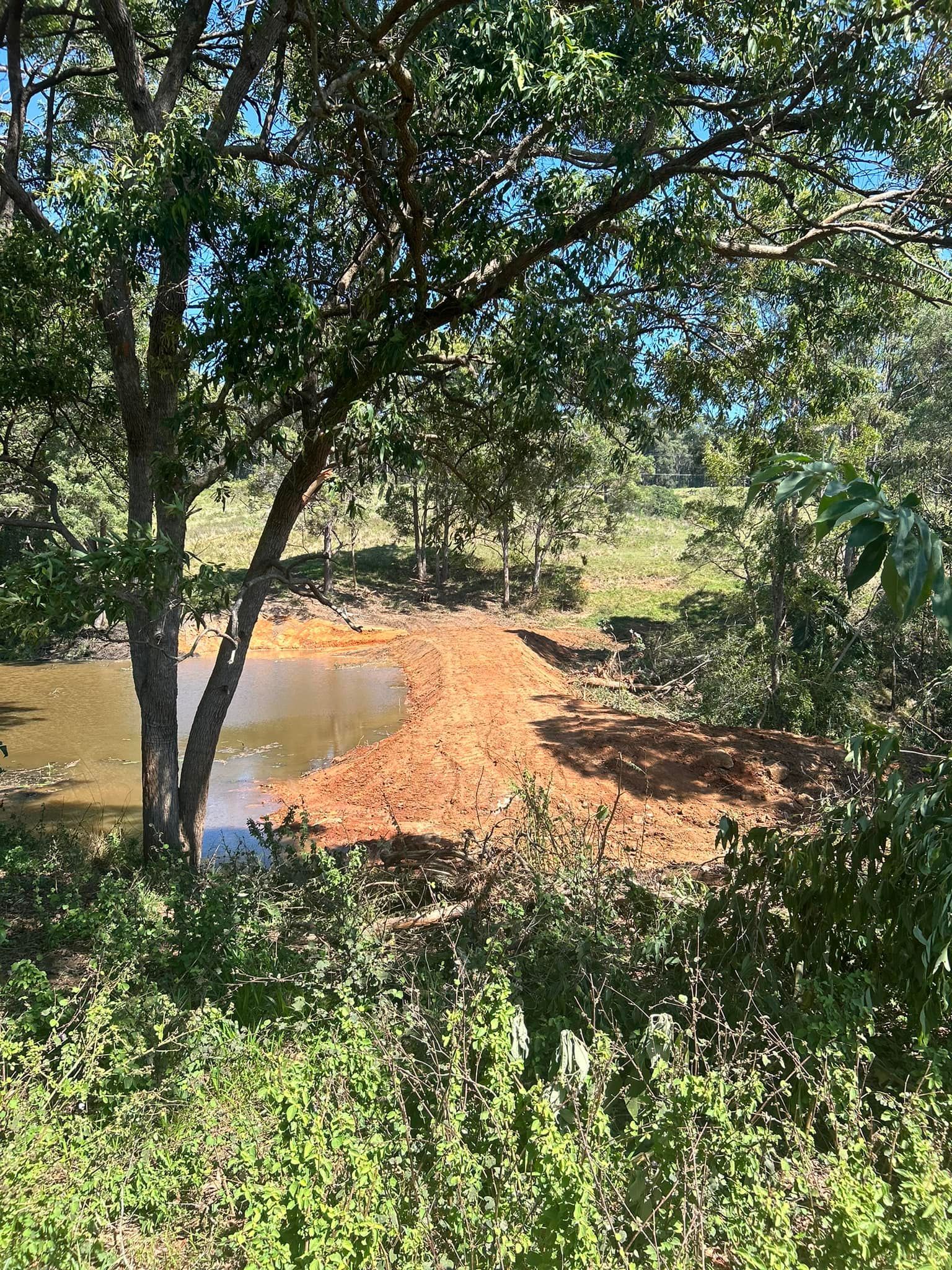 A Muddy Pond with Brown Debris Surrounded by Green Foliage — A2Z Property Services In Cooroy, QLD