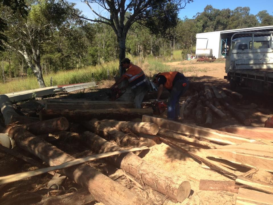 Two Workers Cutting Logs with Chainsaws — A2Z Property Services In Cooroy, QLD