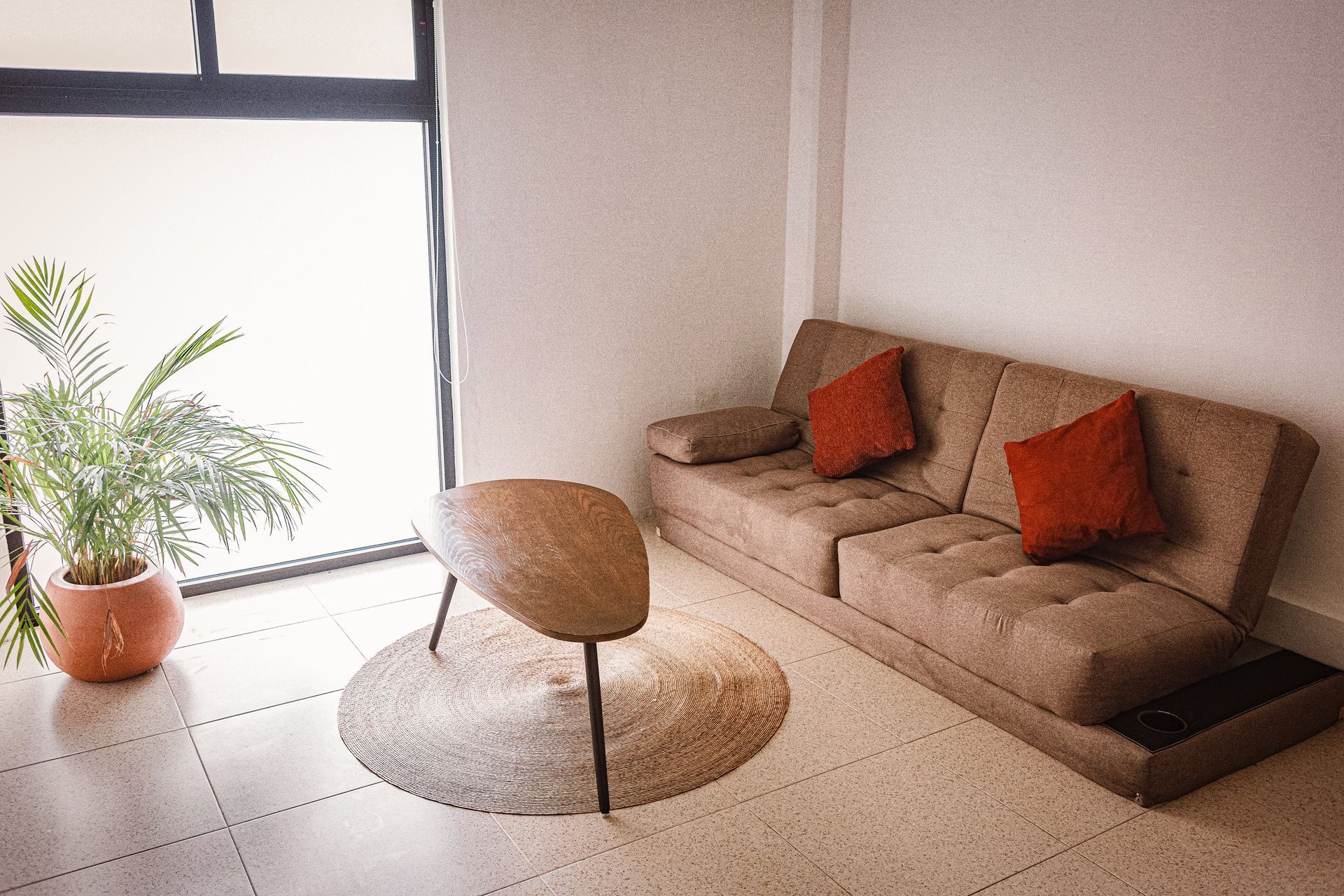 A living room with a couch , table , and potted plant.