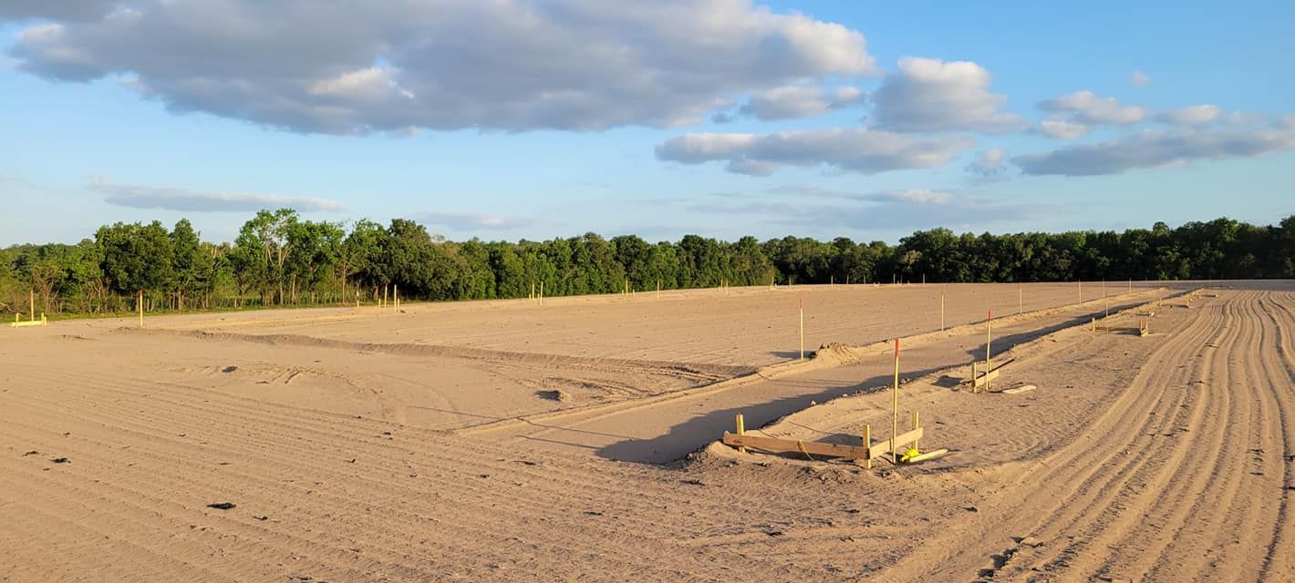 A dirt field with a line of trees in the background under a cloudy sky.