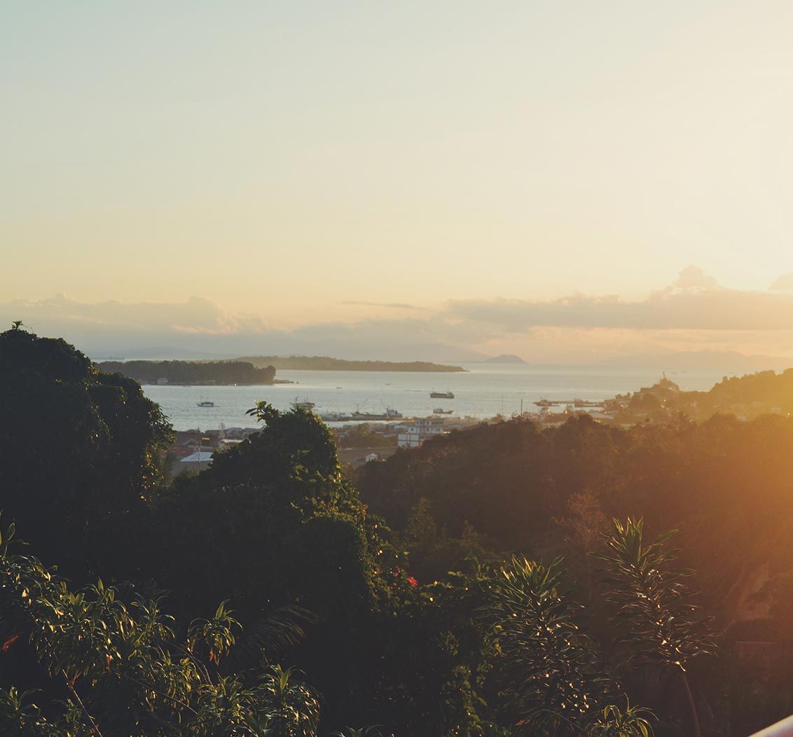 Sunset over a coastal town and sea, viewed from a tree-covered hillside, with golden light.