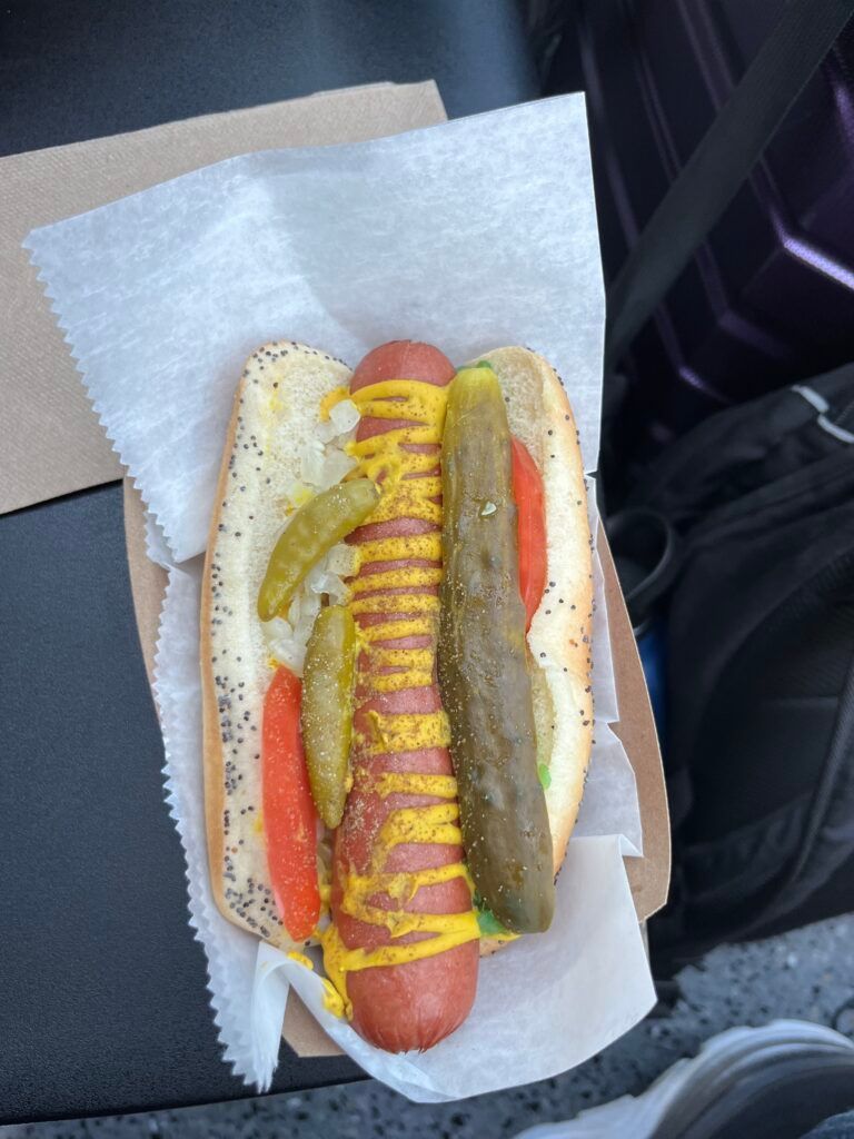 Hot dog in poppy seed bun with mustard, pickles, and tomatoes.