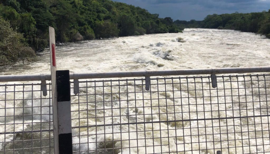 post-5 Whitewater rapids of a river, viewed from behind a metal bridge railing. Lush green trees line the banks.