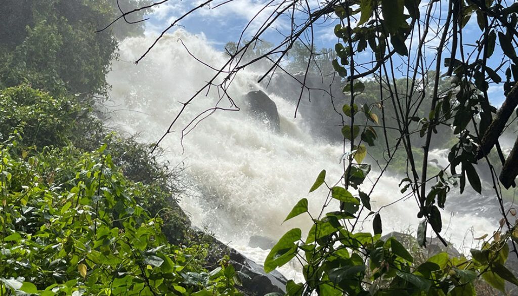 Waterfall cascading over rocks, viewed through lush green foliage.