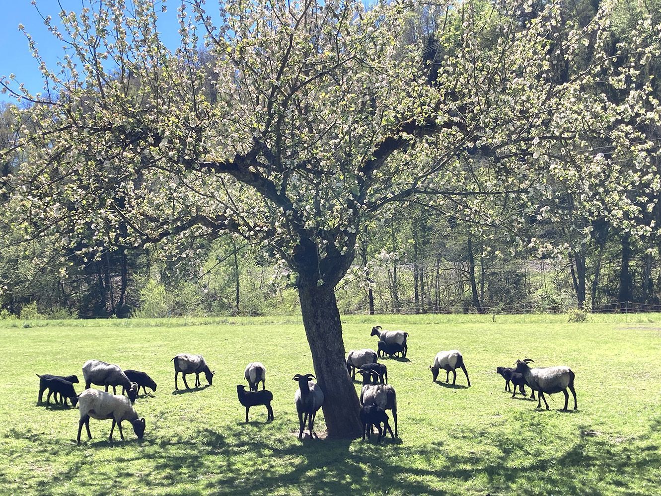 Seminarraum im Grünen in Haigerloch