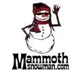 A snowman wearing sunglasses, a plaid hat and scarf, with the text 