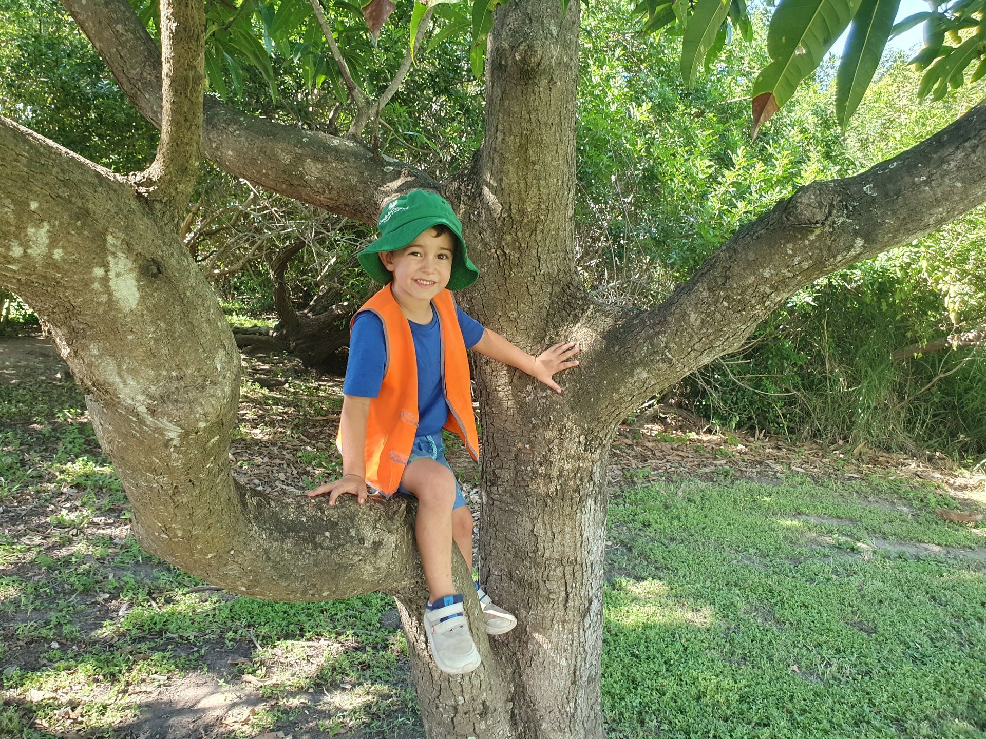 Little Boy Sitting in a tree at Kindergarten – Bundaberg North, QLD - Cradle to Crayons Education & Care