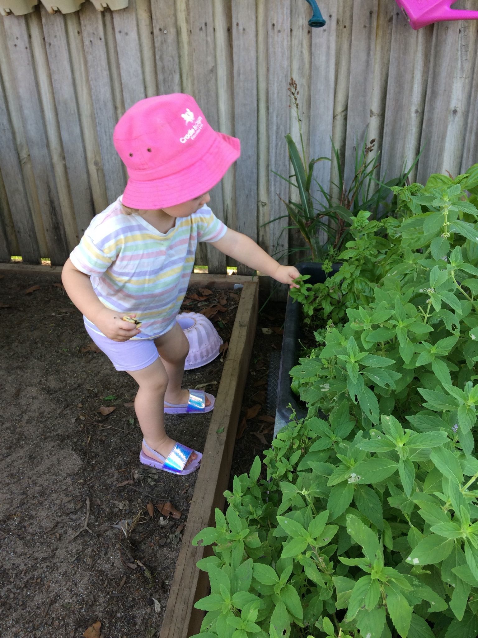 A Little Girl Is Playing With A Caution Wet Floor Sign In The Background – Bundaberg North, QLD - Cradle to Crayons Education & Care